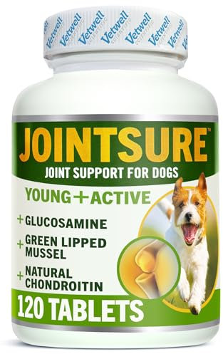 JOINTSURE Compléments d'articulation pour Chiens | avec la Moule Verte, la glucosamine et la chondroïtine Naturelle pour Les Soins des articulations des Chiens. (120 comprimés Young)
