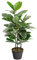 Closer2Nature Artificial 2ft 9'' Rubber Plant, Green, Faux Decoration Plants for Indoors in Home, Kitchen, Lounge and Office