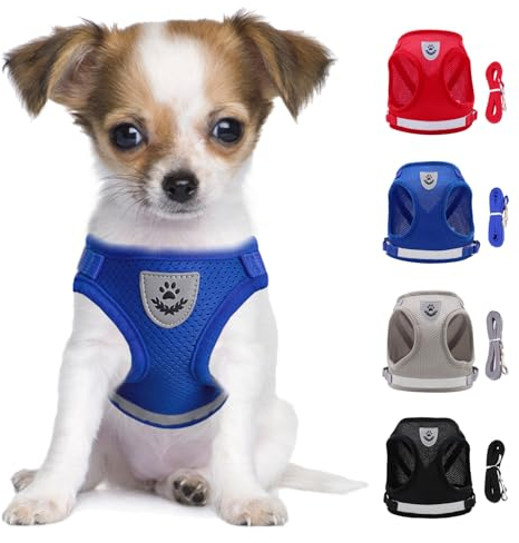 LOS ANDES Hundegeschirr mit Leine, Katzengeschirr, Reflektierend Weich Gepolstert Hunde Geschirr, Air-Mesh Brustgeschirr für Welpen Kleine Hunde Katzen, XS, Blau, Gestreift