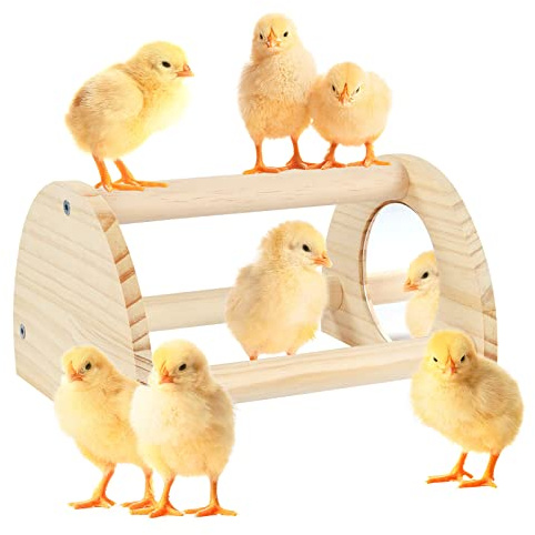 Cubolar Pine Chicken Perch with Mirror, Strong Chick Jungle Gym Roosting Bar, Chicken Toys for Coop and Brooder, Training Perch Toys for Large Bird, Parrot, Macaw, Hens (Small)
