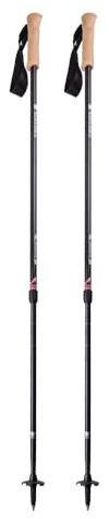 Mountainsmith Andesite Trekking Pole Pair - Carbon