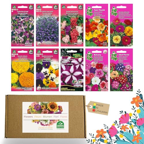 Nojus - Lot de graines de fleurs - Graines de fleurs 10 variétés - Graines de fleurs de balcon - Graines de plantes colorées - 10 paquets - Graines de fleurs sauvages
