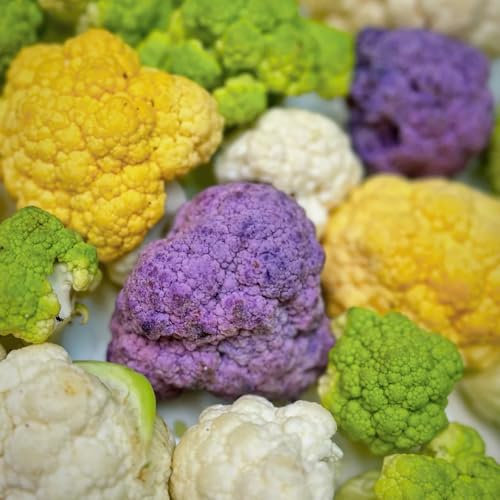 blumenkohl samen - blumenkohlsamen - wintergemüse samen gemüsesamen winterblumenkohl hochbeet samen, gartendeko für draußen winterharte pflanzen für garten, pflanzenanzucht 60pcs