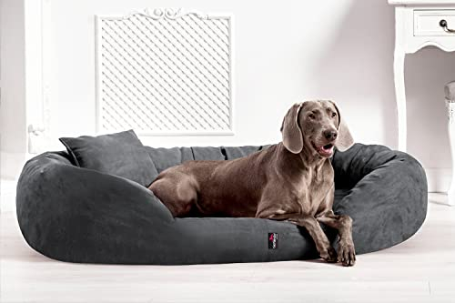 tierlando® Orthopädisches Hundebett Sammy | High-Tech-Velours | Dicke Umrandung | L - XXXXL Hundesofa Grau Gr. XXL 140 cm