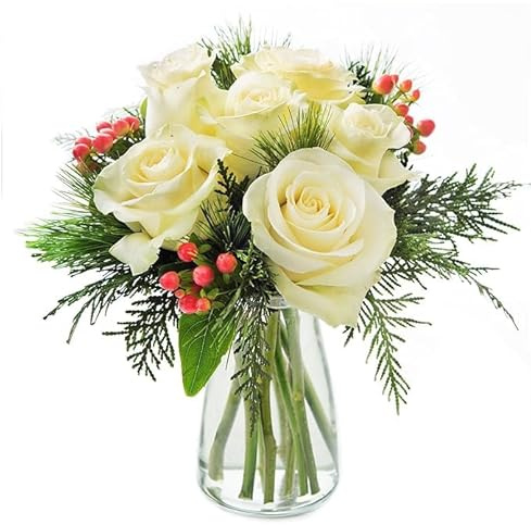 KaBloom PRIME NEXT DAY DELIVERY - Noel White Roses Accented with Red Berries and Seasonal Greens with Vase.Gift for Birthday, Sympathy, Anniversary, Thank You, Valentine, Mother’s Day Fresh Flowers