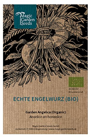 Angélica (Angelica archangelica) orgánica - aprox. 100 semillas