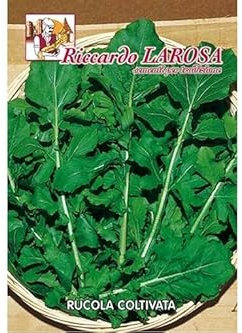 La Rosa semi orto di Rucola Coltivata (1 confezione)