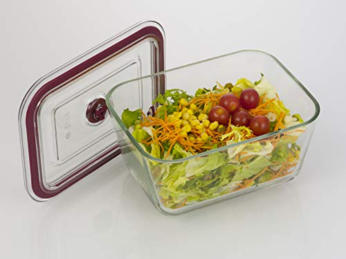 Jata HREC4203 - Recipiente Hermético de Cristal, Capacidad de 3000 ml, Para alimentos sólidos y líquidos, Apto para congelador, microondas, horno y lavavajillas, Libre de BPA,