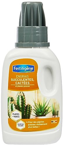 Fertiligène FECA250 - Engrais Liquide Succulentes, Cactées 250 ml, Des plantes plus vertes en 7 jours, Apporte une nourriture équilibrée, Formule à base de minéraux, Pour 35 L de solution diluée