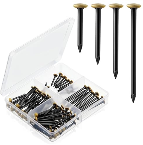 120 Pezzi Chiodi per Quadri con Testa Dorata da 20/25/30/40mm Chiodi in Acciaio in Ottone Chiodini per Quadri con Scatola Portachiodi per Quadri Cornici Legno Trapanare Cemento