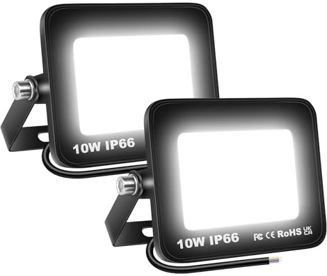 Willpower - 2 proyectores LED para exteriores (10 W, 1000 lm, foco LED, blanco frío, 6000 K, IP66, impermeable, iluminación exterior, luz de seguridad para jardín, patio o garaje, terraza