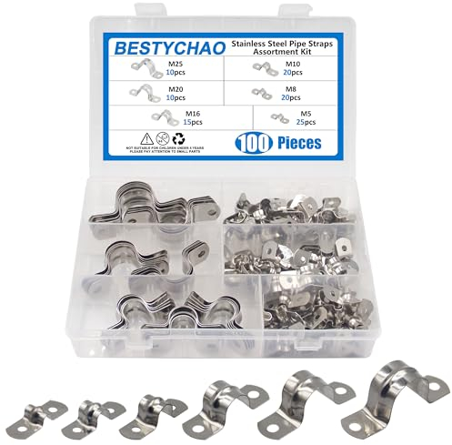 BESTYCHAO Assortiment de 100 colliers de serrage en acier inoxydable 304 pour sangle de tuyau, clips de selle M5 M8 M10 M16 M20 M25 à deux trous