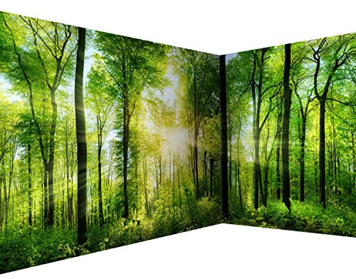 murando - Photo Wallpaper Forest 550x250 cm / 216 x 98 - Non-Woven Premium Corner Art Print Fleece Wall Mural Decoration Poster Picture Design Modern - Landscape Nature Green Trees c-A-0058-a-b