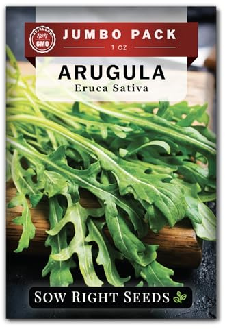 Sow Right Seeds - Bulk Arugula Seeds for Planting - 1 Ounce, 14000 Seeds - Non-GMO Heirloom Jumbo Pack with Instructions to Plant a Home Vegetable Garden - Grow Loads of Hydroponic Rocket Salad Greens