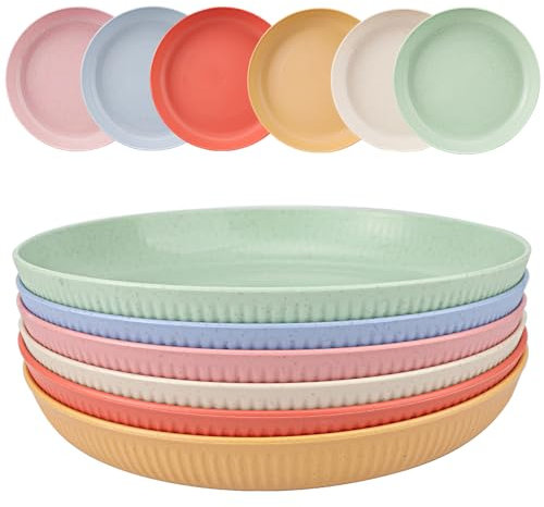 Juego de 6 platos plastico duro reutilizables de 23cm, platos de camping, irrompibles, aptos para microondas, aptos para lavavajillaspara picnic, camping, jardines, exteriores