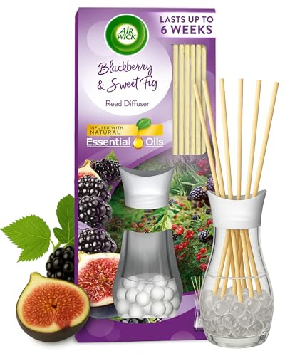 Air Wick Reeds Diffuser, Purple Blackberry Fig, 42ml, Natural Essential Oils, 6 weeks Long-lasting Scent, Eco-friendly Aromatic Decor, Luxury Home Fragrance