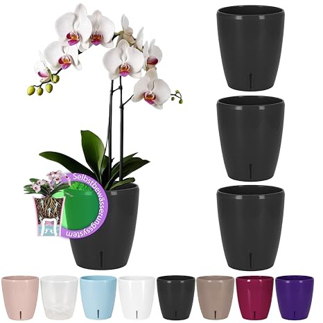 Santino 4er-Set Selbstbewässernder Topf mit Dochtsystem und Wasserstandsanzeige für den Innenbereich, Orchideentopf D 15cm (Anthracite, 2L)