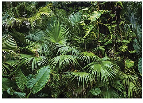 WallArena Carta Da Parati Fotografica Foglie Verde Giungla Foresta - Include Colla - Moderna Design Carta per Pareti Soggiorno Camera Da Letto Sala Fotomurali In Tessuto Non Tessuto TNT (254x184 cm)