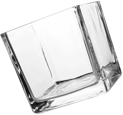 DOITOOL Würfelförmige Glasvase aus Dickem Glas Quadratischer Blumengefäß für Hydroponik Transparente Schreibtischdekoration für Zuhause und Büro