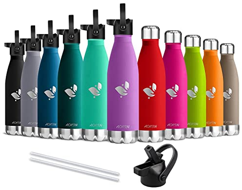 AORIN Doppia Bottiglia per Vuoto in Acciaio Inossidabile, processo di verniciatura a Polvere, Resistente ai Graffi, Facile da Pulire.（porpora-750ml）