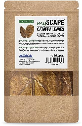 ARKA mySCAPE-CATAPPA Leaves - 20-27 cm / 10 Stück - Natürlicher Wasseraufbereiter aus Seemandelbaumblättern für Süßwasseraquarien, verbessert Gesundheit von Fischen & Garnelen