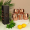 Craft Trade Moscow Kupfer Mule Becher Set Rein Kupferbecher Gehämmertem Kupferstrohhalmen Cocktailbecher Perfekter Messbecher Becher für kalte Getränke Bier Party- 04 Stück