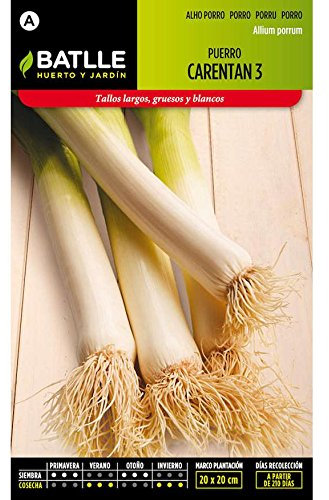 Semillas de Puerro Carentan 3