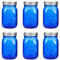 Amzcku 473 ml blaue Einmachgläser mit Deckel, normale Öffnung, 6 Stück, multifunktionaler Glasbehälter, für Aufbewahrung, Einmachen, Einmachen, Einmachen, Einmachen, Gären, Basteln und Dekoration