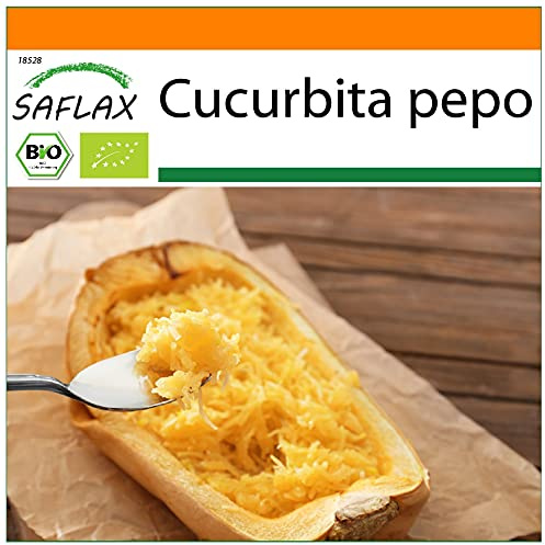 SAFLAX - Garden in the Bag - Ekologiskt - Pumpa - Spagetti - 5 Frön - Med underlag i en passande resväska - Cucurbita pepo