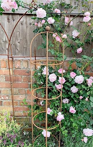 Rusty Round Garden Obelisks 1.75m - Tall Rustic Metal Plant Supports - Garden Frame Trellis - Rose & Crawling Plants Support - Garden Art… (Two Obelisks)