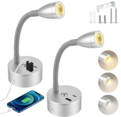 Eirolace 2 lámparas LED de lectura para autocaravana, lámpara de pared regulable, cuello de cisne flexible, lámpara de pared de 12 V con USB + puerto de carga tipo C, para autocaravana, barco