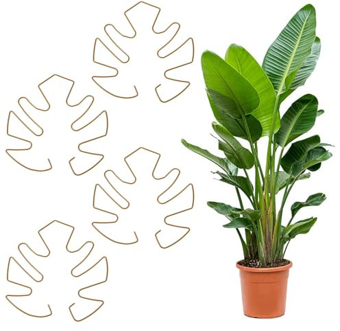 Tyqour Monstera, 4 supporti per piante perenni, supporto per piante, rotondo, supporto per piante