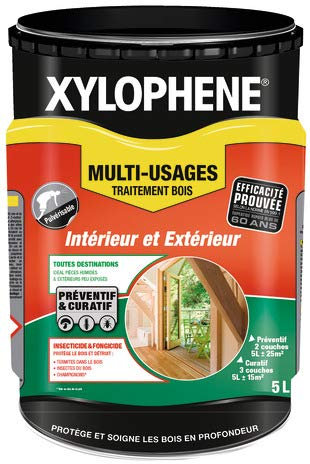 TRAITEMENT INSECTICIDE POUR BOIS POUTRES ET CHARPENTE 5 L CONTRE VRILLETTES CAPRICORNES TERMITES 700/880