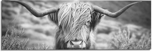 REINDERS Wandbild, Highlander Bulle, Wohnzimmer, Bilder, Wanddeko, Room Decor, MDF, Schwarz-Weiß, 52 x 156