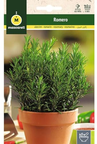 Mascarell - Graines de romarin commun - Graines d'herbes aromatiques à planter, créez votre propre potager à la maison 0,2 g