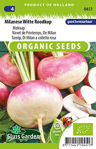 Turnip Bicolor, De Milan Vegetable Seeds per gram - Organically Grown Seeds per gram - 4 g - Seeds per gram: +/-1200