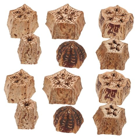 FUTUREORYY Juguetes para Loros para Masticar de Fruta Seca Natural Función de Forrajeo Agapornis, 12 Piezas para Aves Hogar de Mascotas Saludables y Entretenidas