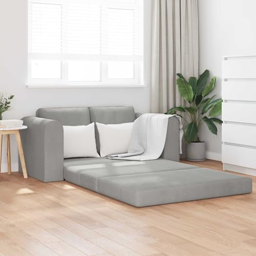 Faucqir Bäddsoffa ljusgrå 148 x 71 x 83 cm sammet stoppade möbler med metallram, multifunktionell soffa för vardagsrum och gästrum, bekväm sittbänk för att sitta och ligga ner