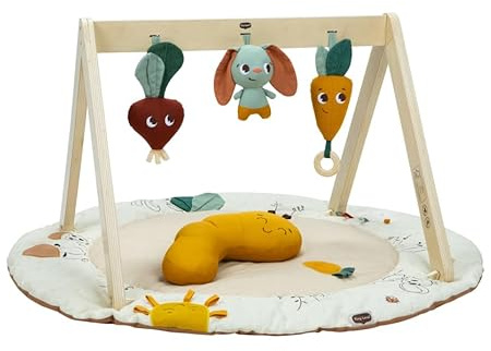 Tiny Love Luxe Developmental Gymini, Baby Activity Gym, 0+ Months, Baby Play Mat, 360° Activities, Tummy time Trainer, Adjustable Arches, Take-Along Toy, Eco-Friendly Materials, Garden of Adventures