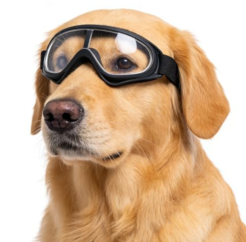 Pevlkawr Gafas De Sol Para Perros, Gafas De Motocicleta Para Perros, ProteccióN Contra El Viento Y El Polvo, Hay Cinturones EláSticos, Adecuado Para Exteriores, Ciclismo