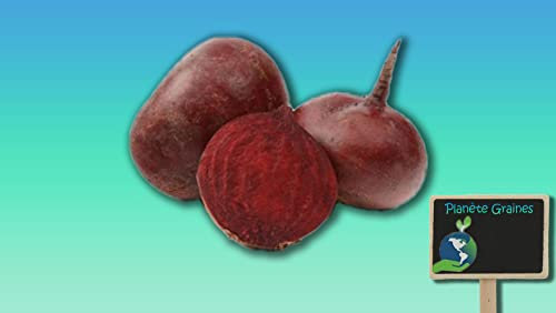 Planète graines - betterave patagere detroit ronde - 5 grammes
