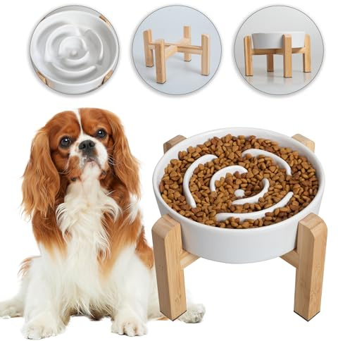 Gamelle Anti-Glouton Surélevée pour Chien - Bol en Céramique avec Support en Bambou - Idéale pour Chiens de Petite et Moyenne Taille - Blanc - 17 cm