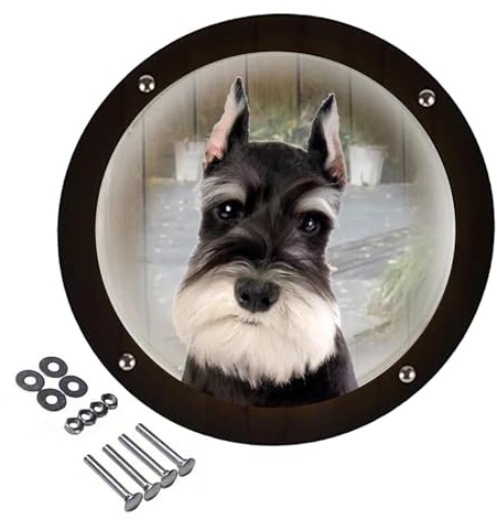 Finestra per recinti di cani – Visiera trasparente pannello acrilico durevole | Spioncino facile da installare, inserto di sicurezza, barriera esterna per intrattenimento degli animali domestici, V