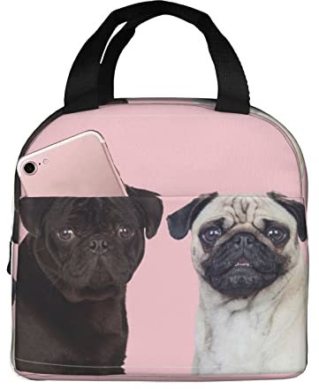 XVBCDFG Funny Animal Pug Dog Lunch Bag Lonchera aislada para mujeres y hombres, bolsa de mano ligera y duradera para la escuela de oficina