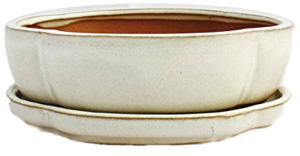 Exotenherz - Bol à bonsaï avec soucoupe taille 3 - Beige clair - Haitang/ovale - Modèle I5 - L 17 cm - l 14 cm - H 5,5 cm