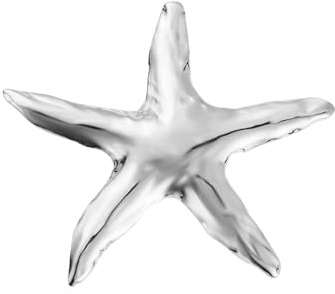 Broche Étoile De Mer Pour Femme Or Plaqué Acier Inoxydable Accessoire Élégant Pour Robe Manteau Ou Veste Cadeau Anniversaire Style Marin Plage Bijou Mode Fête De Cérémonie