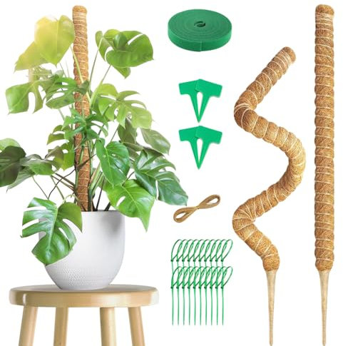 2 Pièces Tuteur Monstera Support Plante Grimpante 100 cm - avec Coco pour Lierre, Fleur et Maison