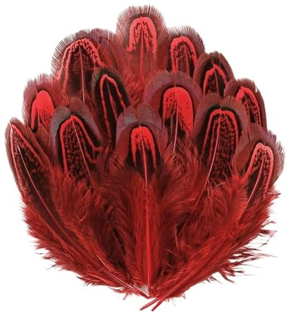 Plumes de faisan colorées, 20 pièces/lot, artisanat, 3-7cm, plumes, création de bijoux, accessoires artisanaux, décoration de festival(Red)