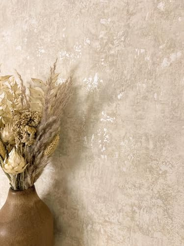 Newroom Carta da Parati Tessuto Non Tessuto Beige Effetto Cemento - Industrial Glamour Metallico Struttura Cemento per Soggiorno Camera da Letto