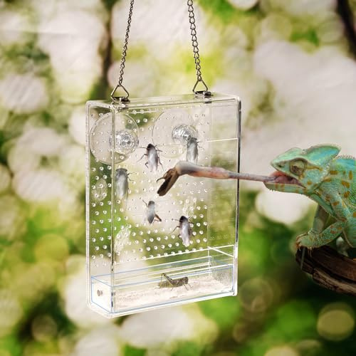 Bearded Dragon Feeder, Reptile Hunting Bowl with Calcium Powder Slot， Acrylic Chameleon Feeding Box, Wall-Mounted Insect Feeder for Lizard, Iguana, Gecko, Frog (Small)